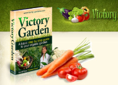 Website & logo for Family Garden